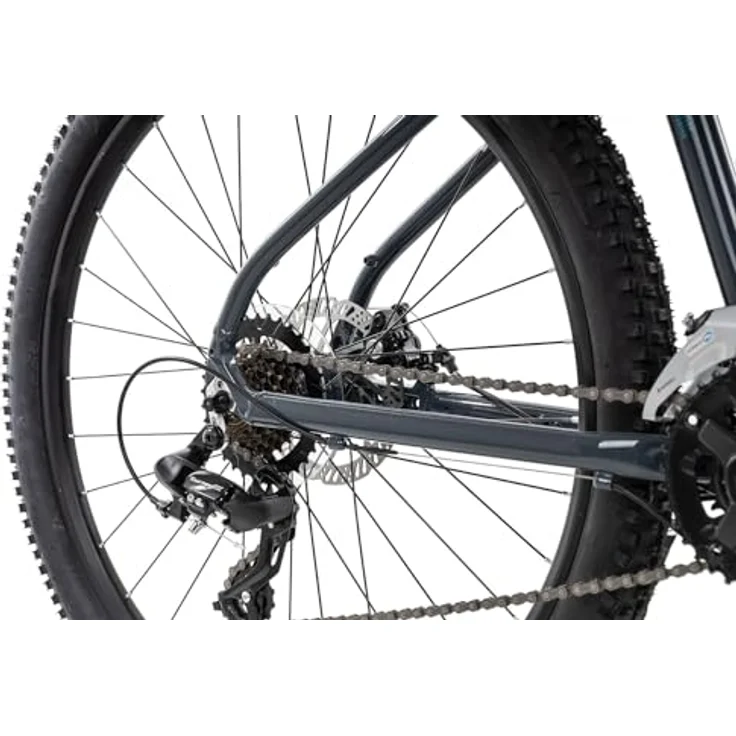 Axess Sandee Mountainbike, MTB-Hardtail mit 14-Gang Schaltung und mechanischen Scheibenbremsen, Farbe: Grey, Rahmengröße: 17 Zoll, Laufradgröße: 29 Zoll – Bild 3