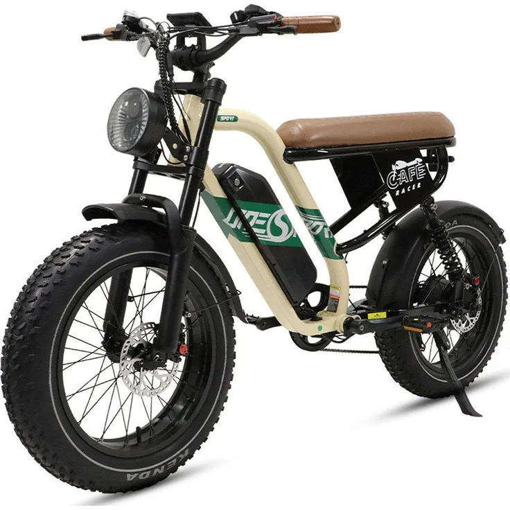 VANKEL W66 E-Bike Trekkingrad, 48V 250W Elektrofahrrad mit 648Wh Akku, 20x4 Zoll Reifen, vollgefederte Aufhängung, Kettenschaltung, Retro-Design