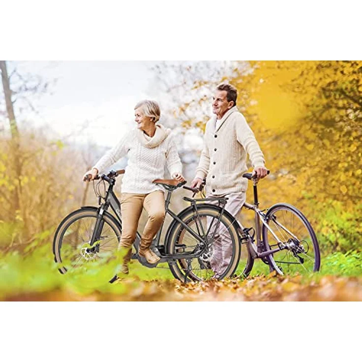 SachsenRAD E-SUV ATB All Terrain E-Bikes C5 Centro mit Diebstahlsicherung, CityBike Mittelmotor mit tiefem Einstieg, Bremslicht Alarmanlage, Elektrofahrrad Farbe Display StVZO Damen Herren Pedelec – Bild 2
