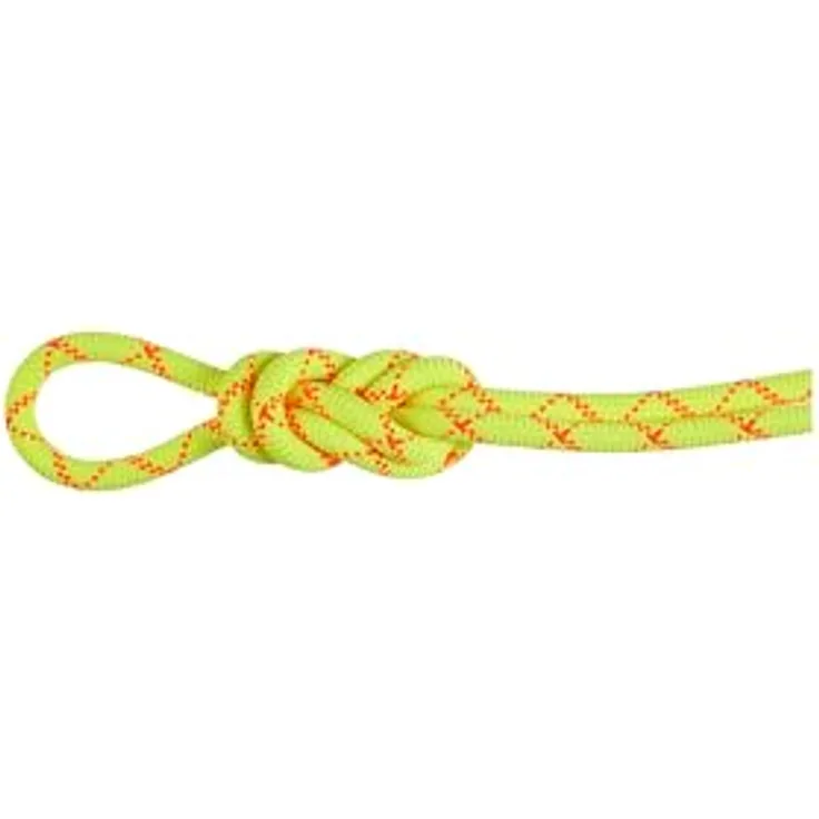 Mammut 9.5 Alpine Core Protect Dry Rope 50m, wasser- und schmutzabweisend, abriebfestes Halb- und Zwillingsseil