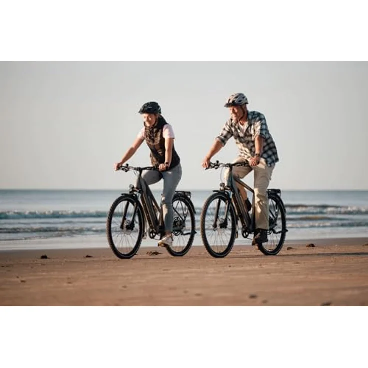 Fischer E-ATB Active Terra 2.2, Elektrofahrrad mit 688Wh Akku, 50Nm Heckmotor, 8-Gang Shimano Schaltung, RH 45 – Bild 4