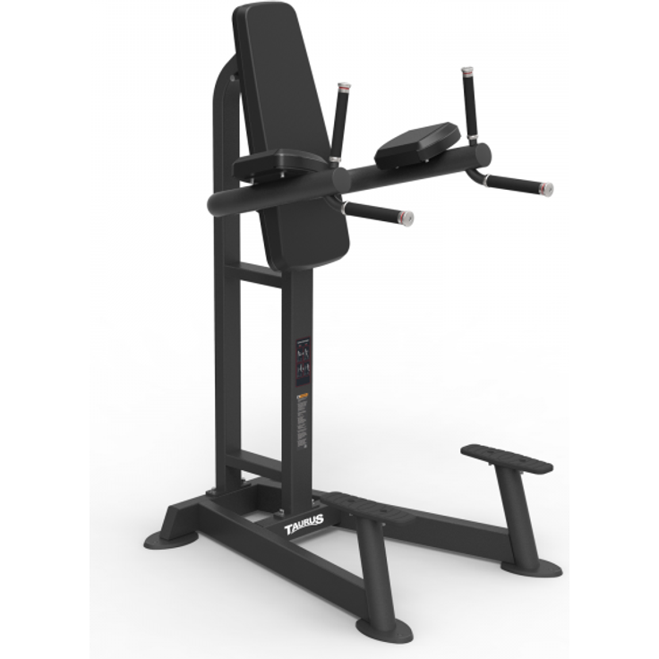 Taurus Elite Bein-/Kniehebestation