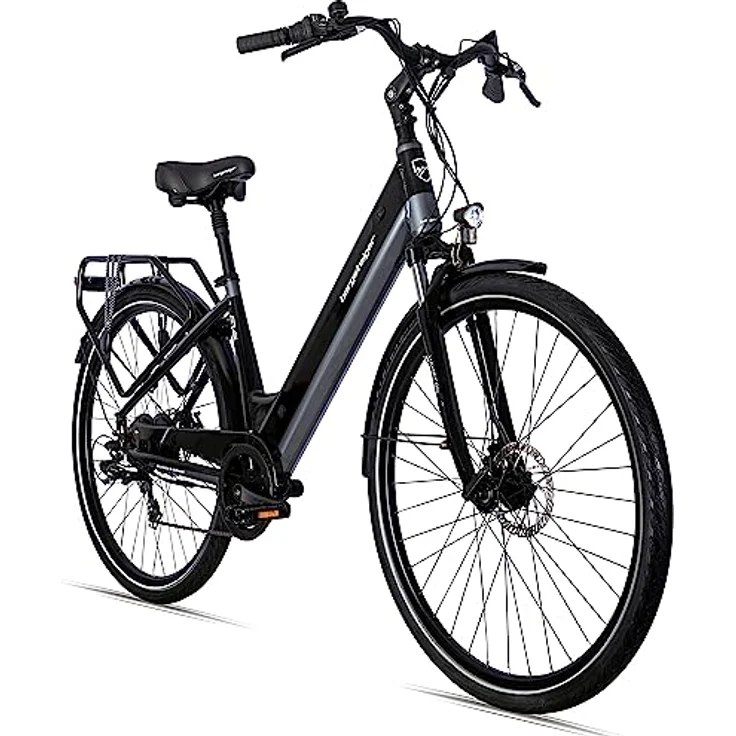 Bergsteiger Hampton 28 Zoll City E-Bike mit 250 Watt Motor, Scheibenbremsen, Aluminium Ebike für Damen & Herren, Farbdisplay, Elektrofahrrad mit Shimano 6 Gang-Schaltung, Schwarz – Bild 1