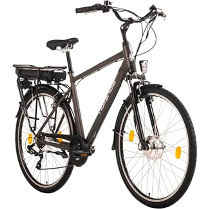 HOLLANDIA E-Citybike Herren 28" Zagon RH 53 cm Grau 250 Watt Li-Ion 36V/13 Ah 6 Gänge – Bild 2