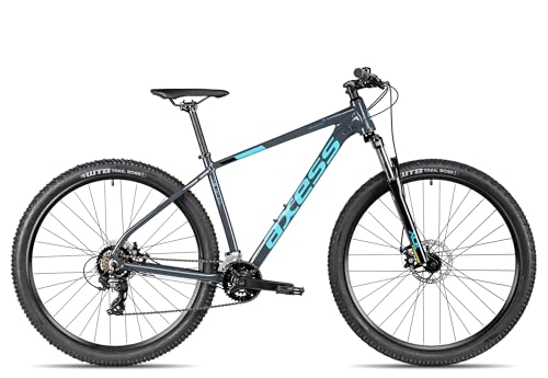 Axess Sandee Mountainbike, MTB-Hardtail mit 14-Gang Schaltung und mechanischen Scheibenbremsen, Farbe: Grey, Rahmengröße: 17 Zoll, Laufradgröße: 29 Zoll