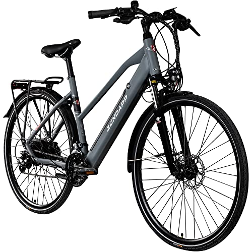 ZÜNDAPP Ebike Damen 28 Zoll Trekkingfahrrad | E Bike 24 Gänge 155-170 cm Elektro Fahrrad | E-Bike Elektrofahrrad mit hydraulischen Scheibenbremsen | Z810 (grau, 50 cm)