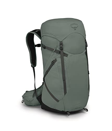 Osprey Men's Sportlite Wanderrucksack, Pine Leaf Green, Cooler und Bequemer Tragekomfort, Hochwertige Materialien, Langlebig