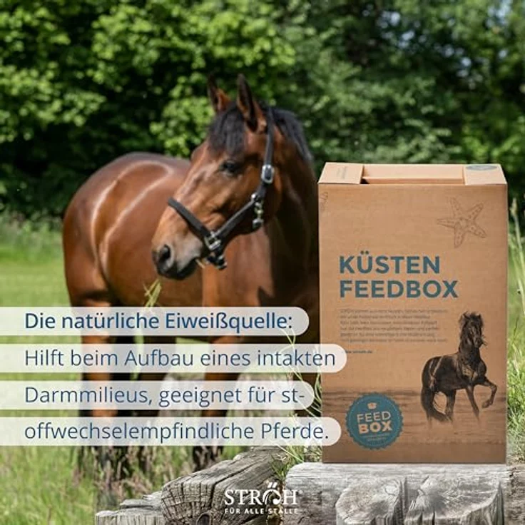 STRÖH Küsten Esparsette Cobs für Pferde, 30kg Feedbox, magenfreundliches Rau- & Kraftfutter mit Aminosäuren & Vitaminen – Bild 4