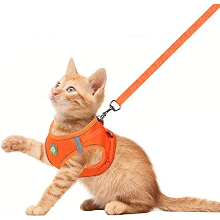 FEimaX Hundegeschirr mit Leine für kleine und mittelgroße Hunde und Katzen, atmungsaktives Mesh, verstellbar, reflektierend, No Pull Weste, Schwarz – Bild 2