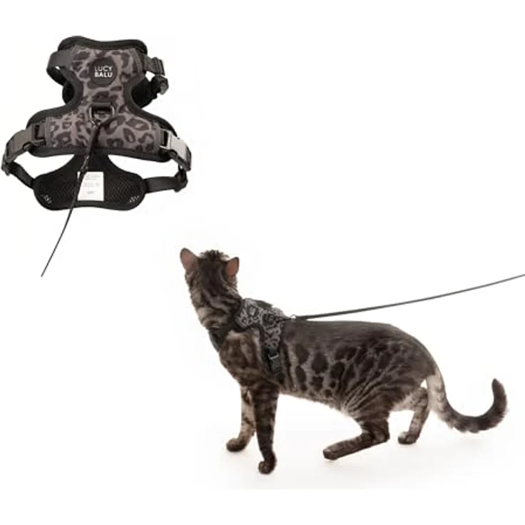 LucyBalu® Explorer Katzengeschirr mit Leine, ausbruchsicheres Sicherheitsgeschirr mit AirTag Fach, verstellbar, Größe Leo M/L – Bild 1