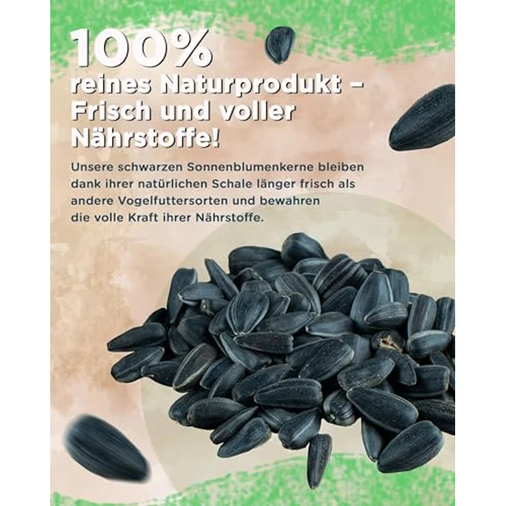 Futterbauer 10 kg Schwarze Sonnenblumenkerne für Vögel, 100% Natur, Hoher Fett- & Vitamin-E-Gehalt, Gereinigt & Getrocknet mit Schale, Ernte 2025 – Bild 5