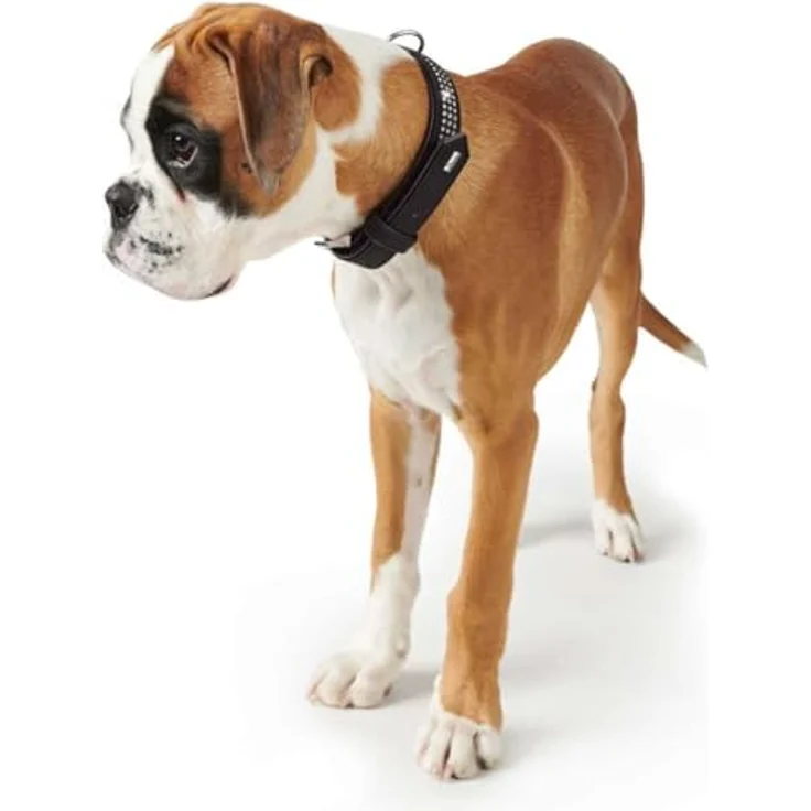 Hunter Hunde-Halsband Softie Triluxe schwarz S-M – Bild 5