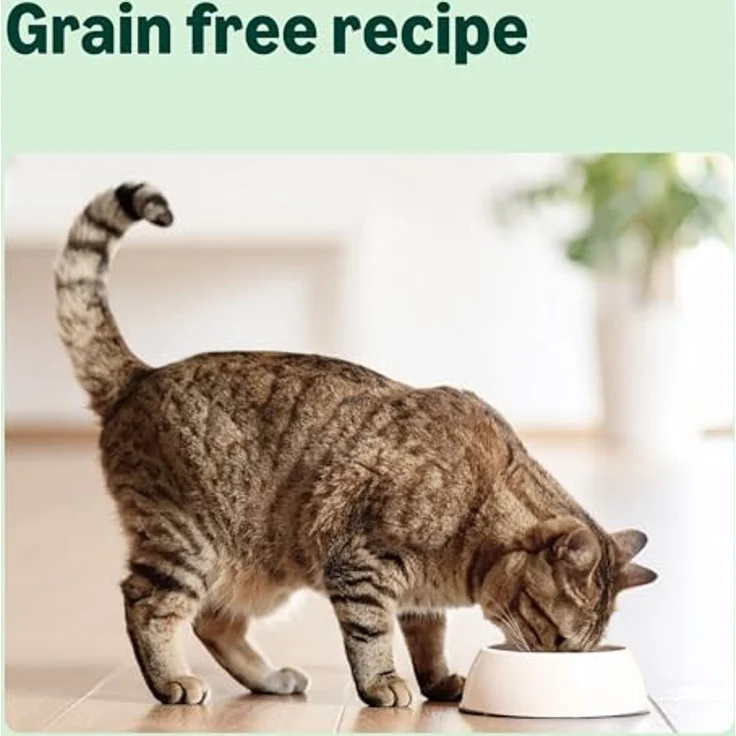 by Amazon Getreidefreies Trockenfutter für Katzen, mit 30% frischem Huhn, 3 kg, Gelenkunterstützung mit Glucosamin und Chondroitin – Bild 4