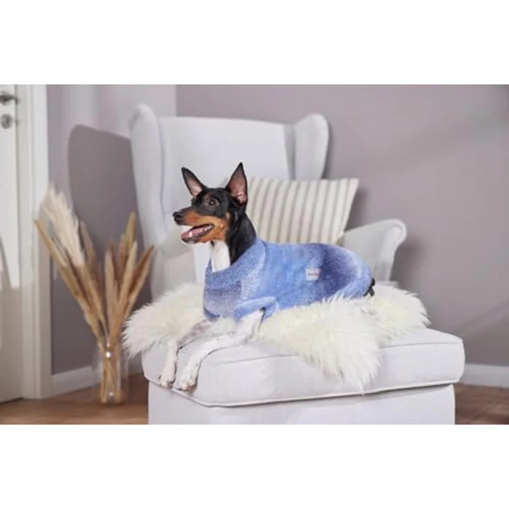 Wolters Strickpullover Sky, kuscheliger Hundepullover mit Farbverlauf, 20 cm – Bild 4