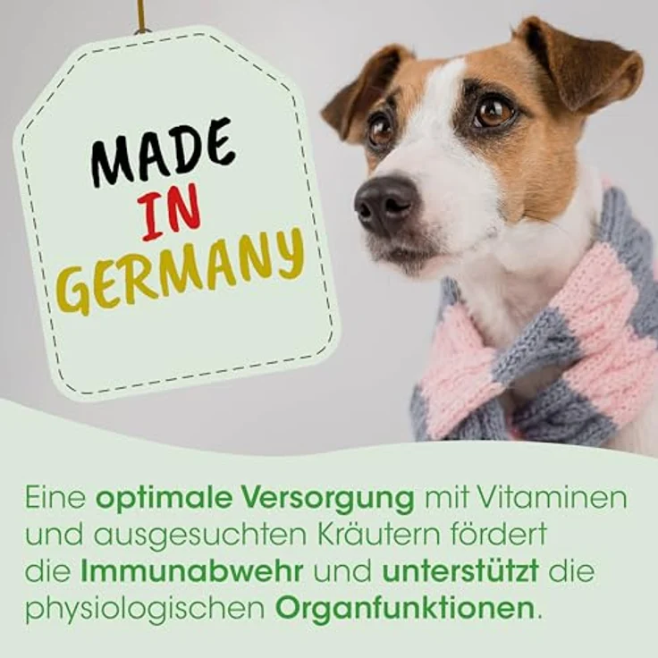 cdVet HustaVet Immun, Hunde Nahrungsergänzungsmittel zur Unterstützung der Immunabwehr mit natürlichen Kräutern, 80 g – Bild 4