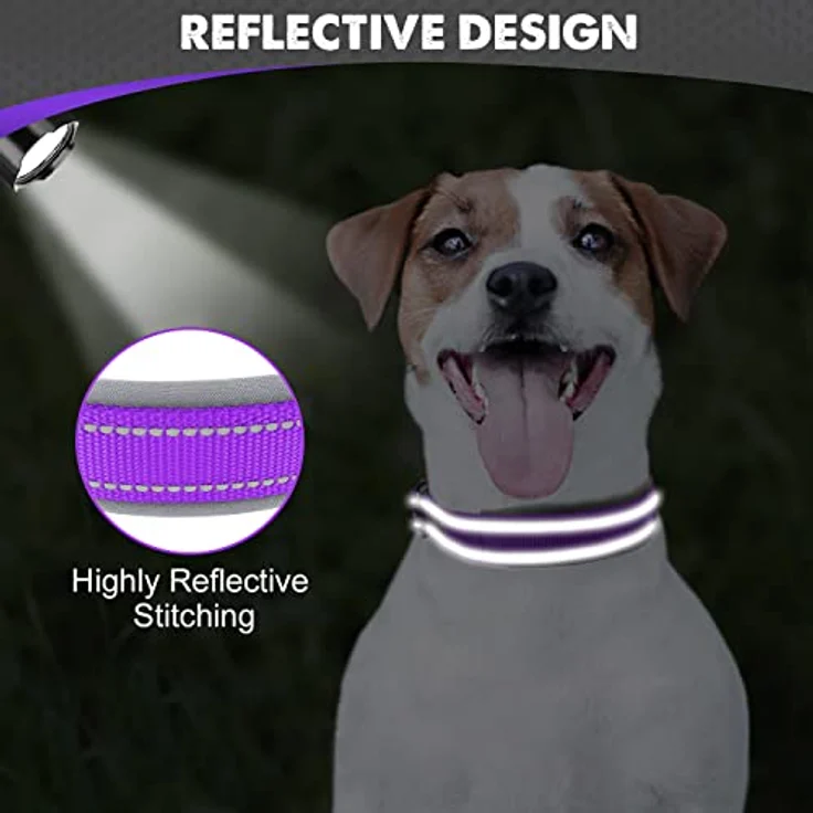 Joytale Halsband für Hunde, gepolstertes Neopren-Hundehalsband für kleine Hunde, reflektierend und strapazierfähig, lila – Bild 4