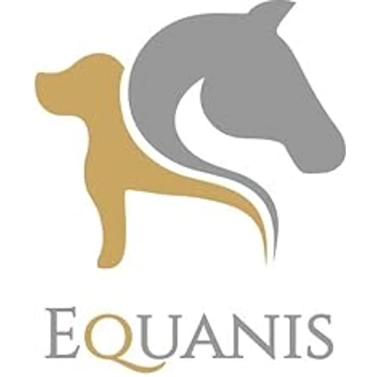 Equanis Devil´s Claw, Flüssige Teufelskralle für Pferde, 1 l, unterstützt Gelenkprobleme und entzündungshemmende Prozesse – Bild 2