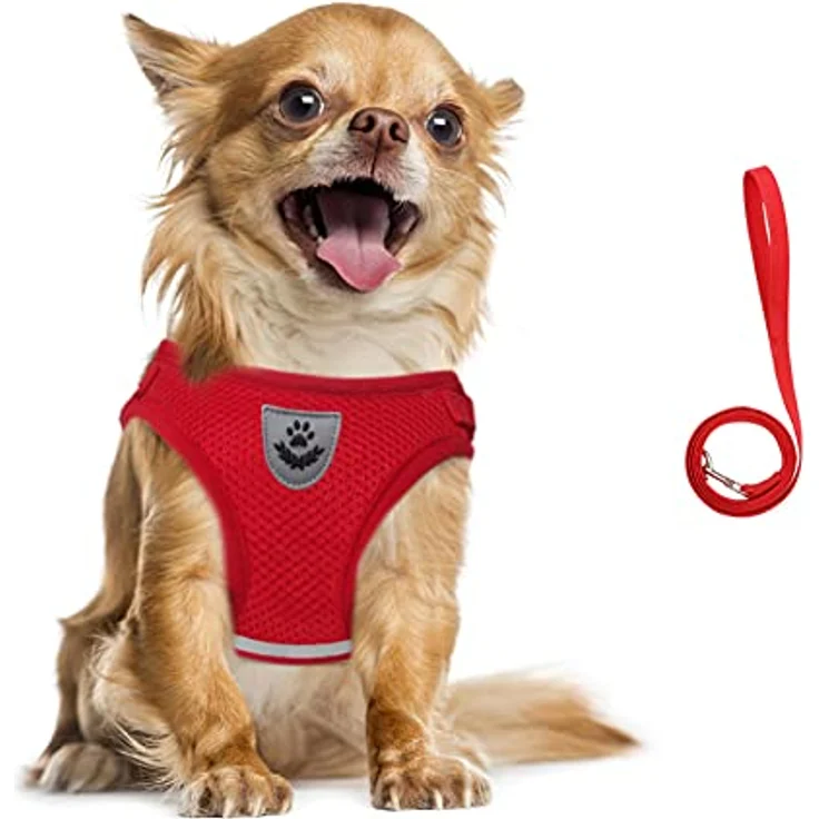 FEimaX Hundegeschirr und Leinen Set, Weich Mesh Gepolstert, Reflektierendes Atmungsaktives Brustgeschirr für Welpen und Katzen, Verstellbare Größe für Gehen und Training – Bild 1