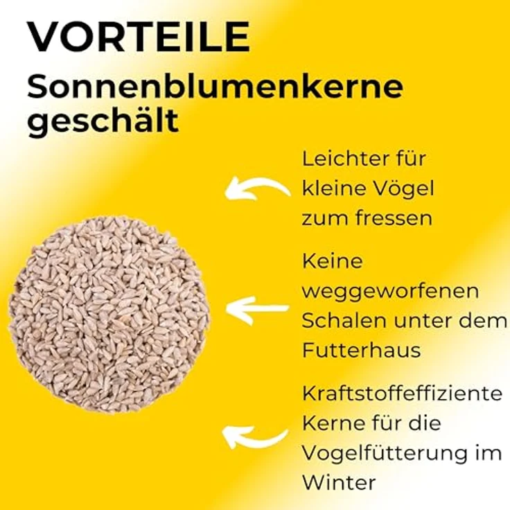 Boill Sonnenblumenkerne geschält 25 kg, 100% Naturprodukt ohne Zusatzstoffe, HACCP zertifiziert – Bild 3