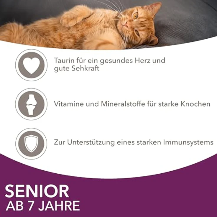 IAMS Delights Senior Katzenfutter Nass, Multipack mit Huhn und Fisch in Sauce, 12 x 85 g für ältere Katzen ab 7 Jahre, ohne künstliche Zusatzstoffe – Bild 4