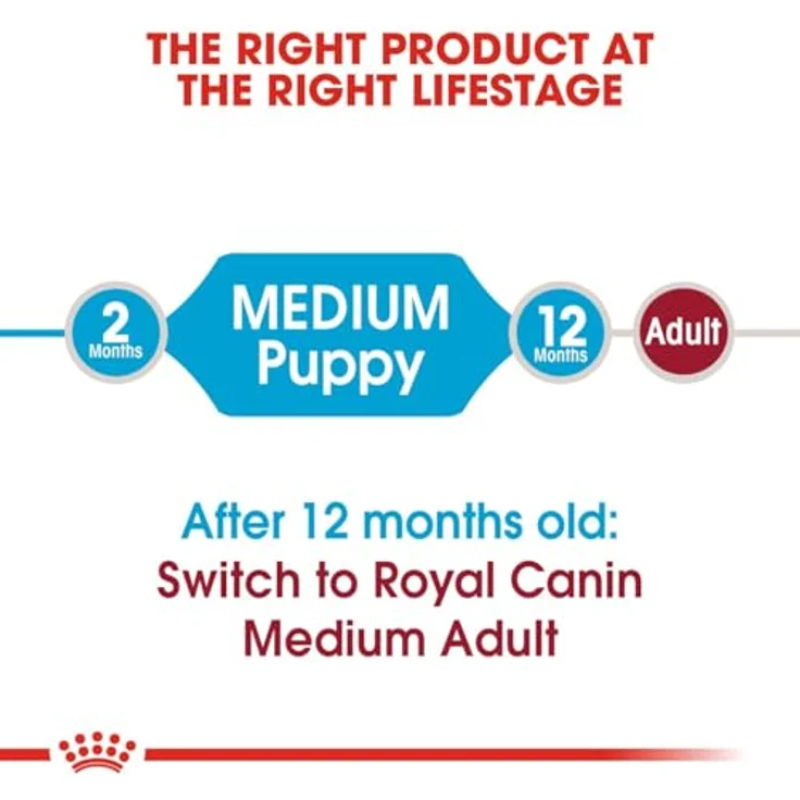 Royal Canin MEDIUM Puppy Trockenfutter, Alleinfuttermittel für mittelgroße Welpen, 2x15kg – Bild 6