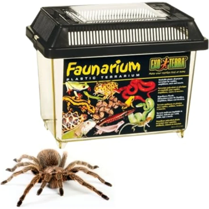 Exo Terra Faunarium, Allzweckbehälter für Reptilien, Amphibien und Insekten, klein 23 x 16,5 x 15,5 cm, transparente Plastiktür, leicht zu reinigen – Bild 1
