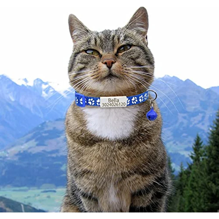 Senristar Personalisierte Katzenhalsbänder 2er Pack, Reflektierend mit Namensschild und Glocke, Nacken 20-28 cm, Nylon, Anti-Verlust Design – Bild 5