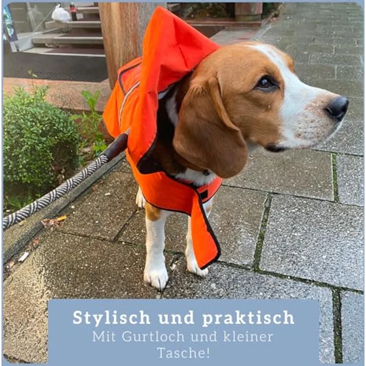 Bella & Balu Hunderegenmantel L, wasserdicht mit Kapuze und Reflektoren für sichere Gassigänge, orange – Bild 2
