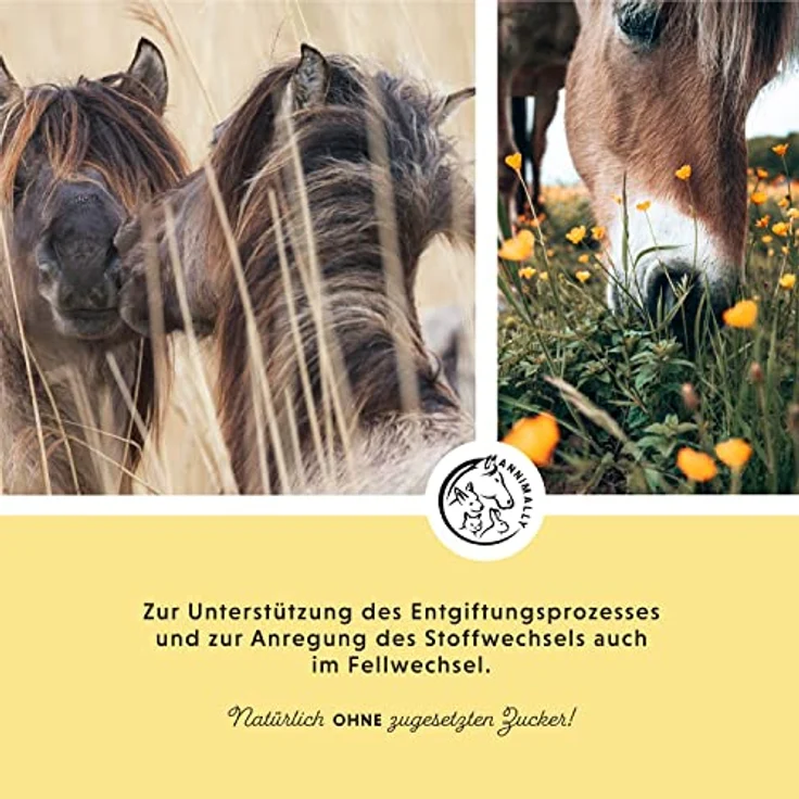 Annimally Leber Nieren Liquid für Pferde, 1000ml Kräutersaft mit Mariendistel & Artischocke zur Unterstützung der Leber- und Nierenfunktion – Bild 3