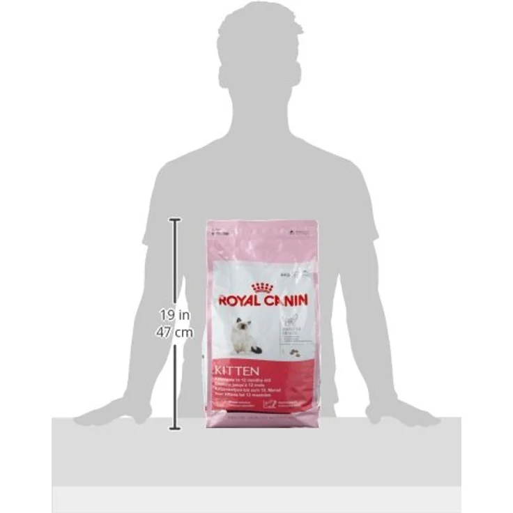 ROYAL CANIN FHN Kitten 4kg, hochwertiges Trockenfutter für Katzenkinder – Bild 3