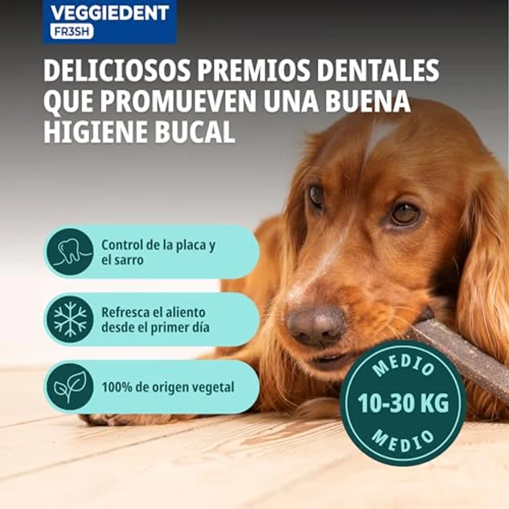 Virbac VeggieDent Fresh M, Vegetarische Kaustreifen für mittelgroße Hunde, 15 Stück, 350 g, mit patentierter Z-Form für Zahnreinigung – Bild 2