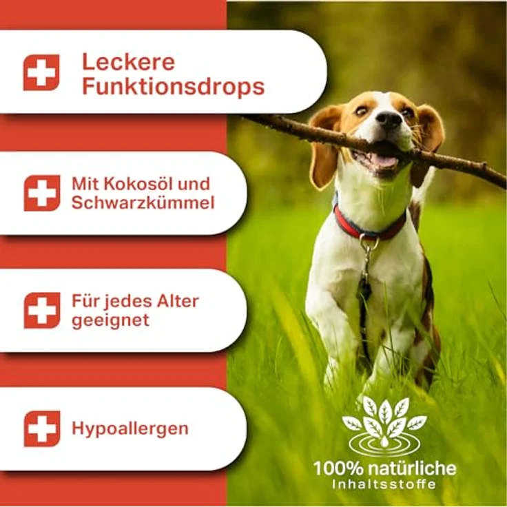 MEDIDOG Zeggi Weggi Premium Drops für Hunde – 400 g – mit Schwarzkümmelöl, Zistrose, Kokosöl und Lammprotein – hypoallergen, stärkt Hautabwehrkräfte – Bild 3