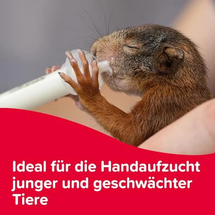 BEAPHAR Lactol Fütterungsspritzen 14 ml, für Hunde und Katzen, manuelle Fütterung junger, kranker oder geschwächter Tiere, 2 Stück – Bild 4