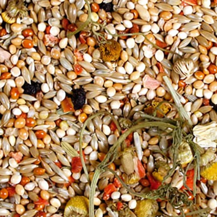 JR FARM Birds Individual Wellensittich, artgerechtes Vogelfutter 1 kg für gesunde Vitalfunktionen, gentechnikfrei, Made in Germany – Bild 2