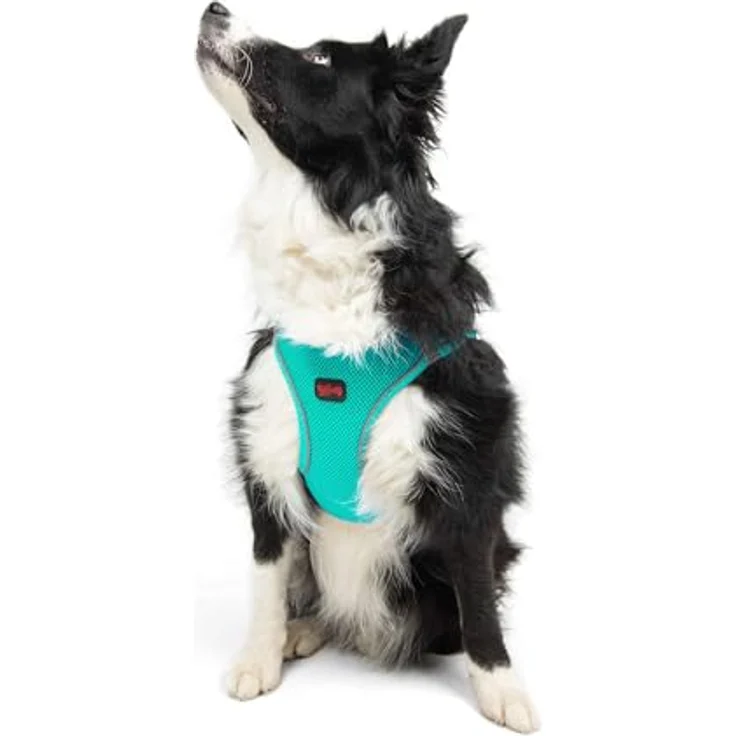 Tailpetz Air-Mesh Brustgeschirr für kleine und mittelgroße Katzen und Hunde – Weich, Atmungsaktiv, Strapazierfähig, Türkis, XL (Brustumfang 66–70cm) – Bild 1