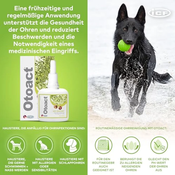 ICF Otoact Ohrenreiniger für Hunde & Katzen, sanfte Ohrreinigungslösung, entfernt Ohrenschmalz & unterstützt Ohrenhygiene, 100ml – Bild 5