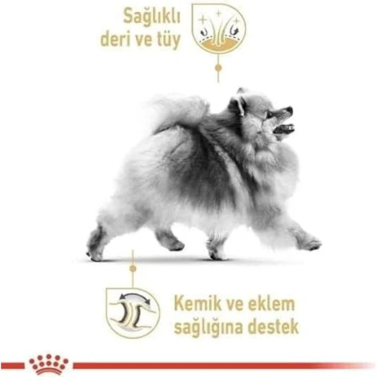 Royal Canin Pomeranian Adult, Trockenfutter für Zwergspitze ab 8 Monaten, 1,5 kg, optimale Verdauung & Zahnhygiene, angepasster Mineralstoffgehalt – Bild 4