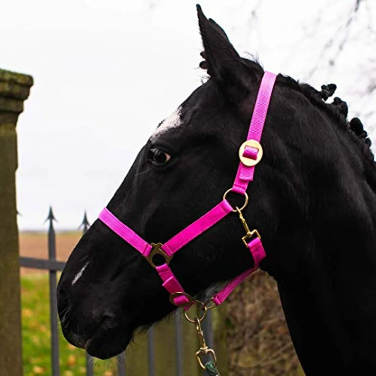 Pferdelinis Halfter für Mini Shetty, Stall- und Weidehalfter, 2-fach verstellbar, reißfest und pflegeleicht, pink – Bild 1