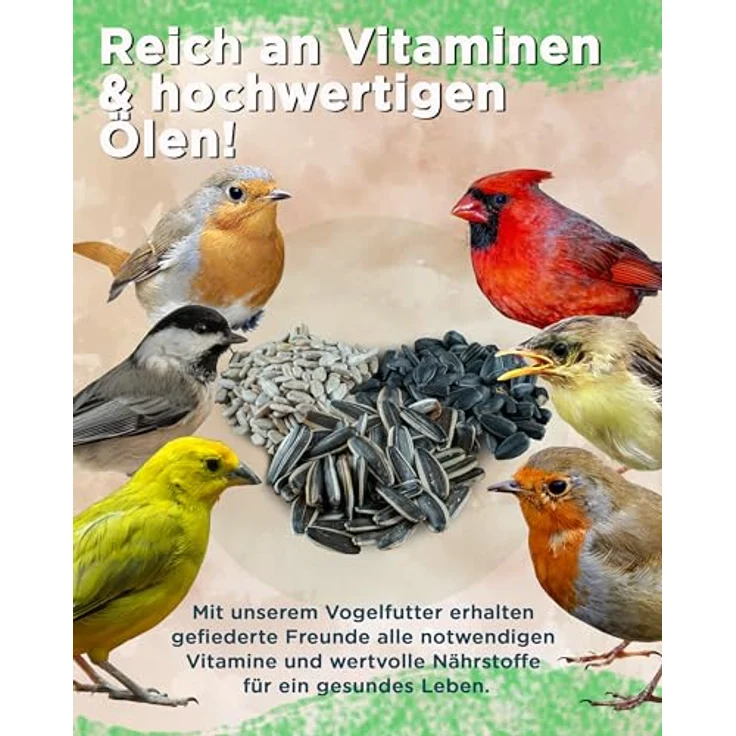 Futterbauer 10 kg Geschälte Sonnenblumenkerne für Vögel, 100% Natur, Nährstoffreiche Energiequelle, Ohne Schalen, Frisch & Hochwertig, Ernte 2025 – Bild 2