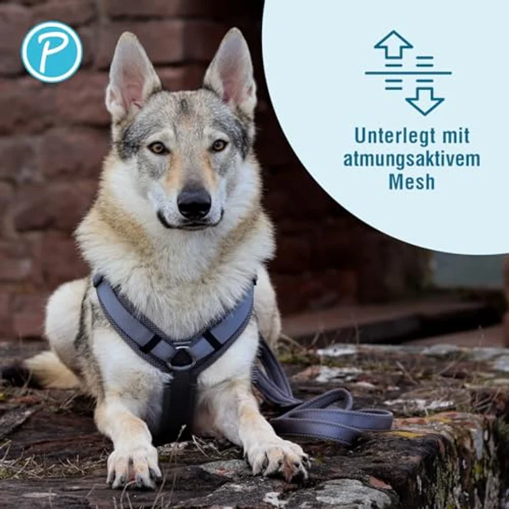 Petlando Hundeleine 2m Mesh, weich gepolstert, atmungsaktiv, 3-fach verstellbar mit Karabiner, für mittelgroße Hunde, Anthrazit 230x2,5cm – Bild 3
