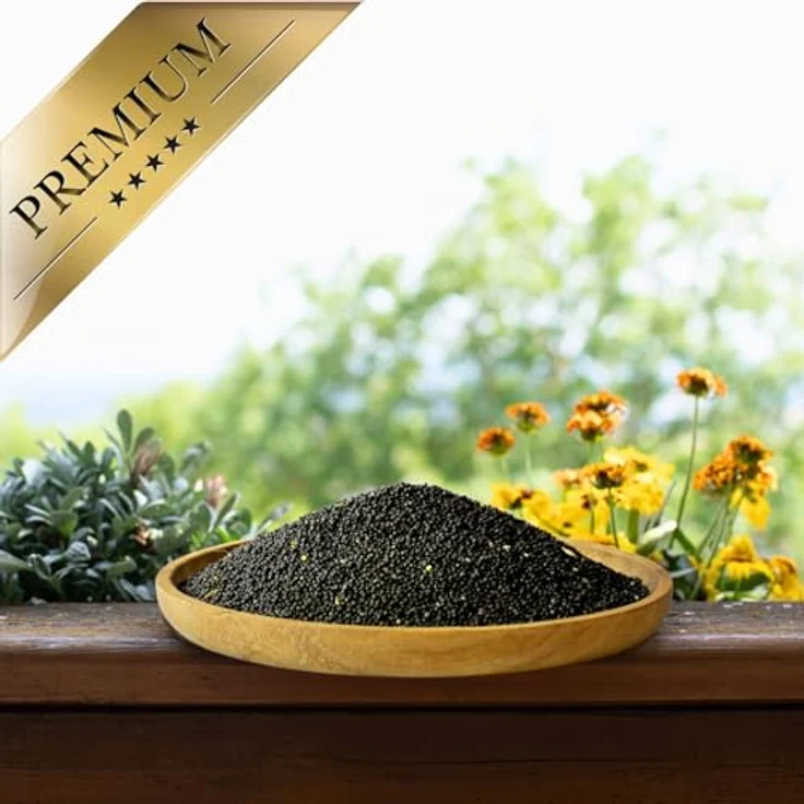 Lyra Pet® 10 kg Raps, Ergänzungsfutter für Wildvögel, protein- und fettreich, reich an Nährstoffen für Sommer & Winter – Bild 5