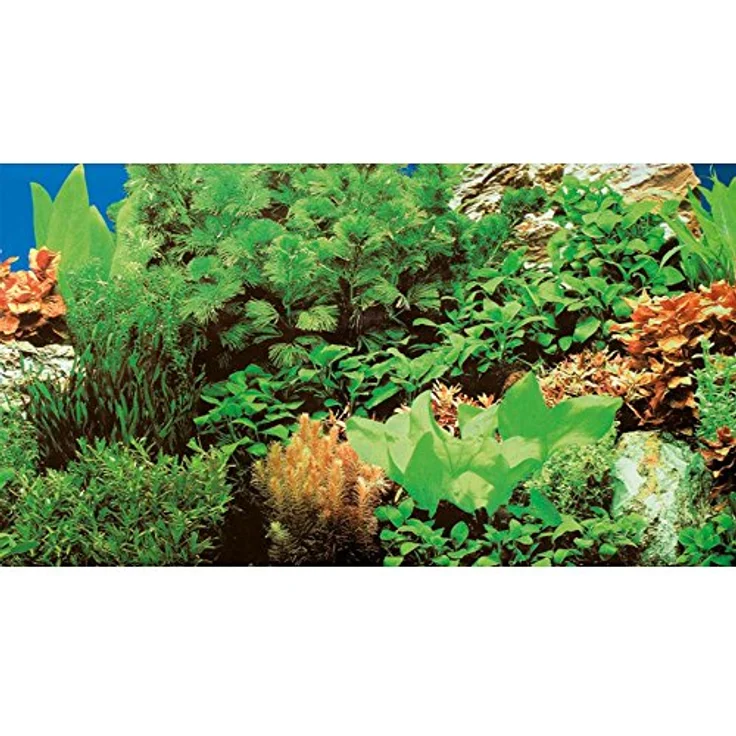 Hobby 31136 Fotorückwandzuschnitt Pflanzen 8, Hochglanz Aquariendekoration, marin blau, einfache Befestigung mit FotoFix – Bild 4
