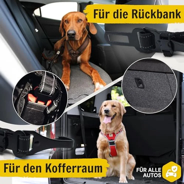 Hundefreund Hundegurt fürs Auto, Verstellbarer Sicherheitsgurt für große und mittelgroße Hunde mit Ruckdämpfer, schwarz – Bild 4