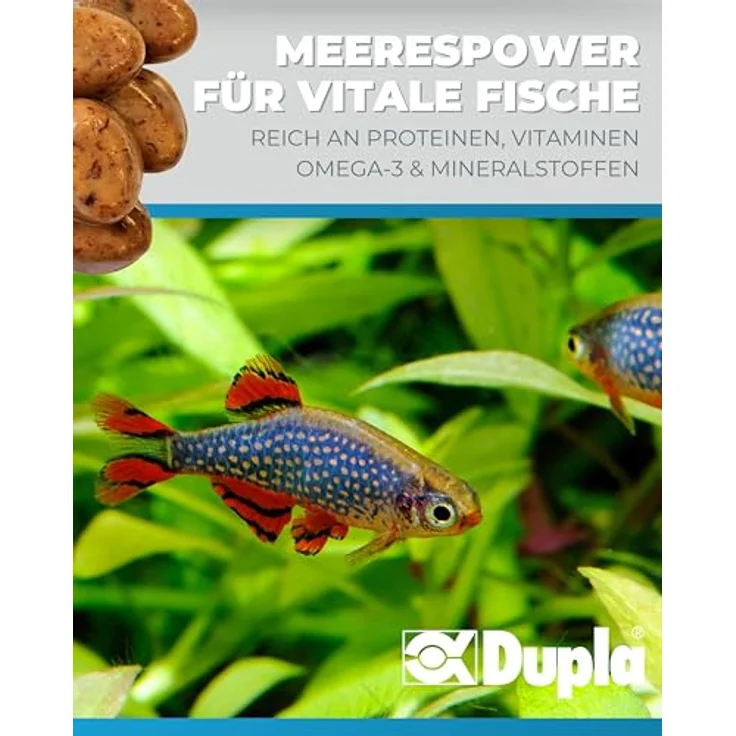 Dupla Gel-O-Drops Krill I Geleefischfutter 12 x 2 g, nährstoffreiches und leicht dosierbares Aquarienfutter, ungekühlt lagerbar – Bild 3