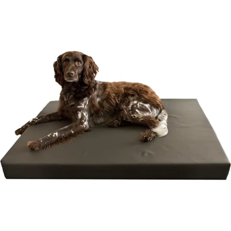 Holland Animal Care HD Dog Bed M, Orthopädisches Hundebett mit Memory Foam, Kunstlederbezug, 55 x 80 cm