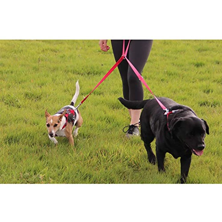 Red Dingo Hundeleine Lila, 2 x 200 cm, Halsband + Leine für Hunde – Bild 4