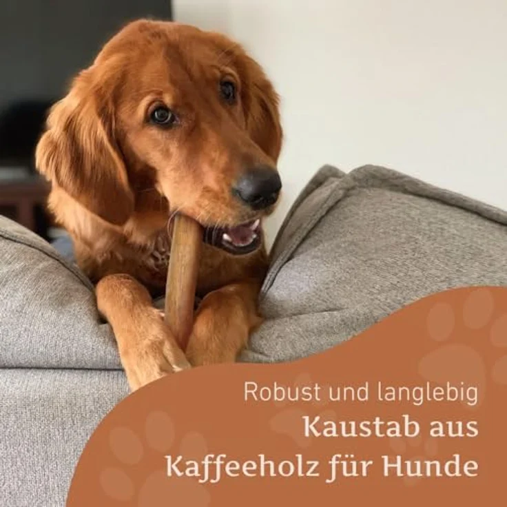 Wildfang® Kaffeebaum-Kauspielzeug für Hunde, unzerstörbar, natürliches Kauholz für aggressive Kauer & Welpen im Zahnwechsel, Größe L (25–45 kg) – Bild 3