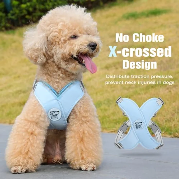 Pawaboo Hundegeschirr Set, X-Rahmen Verstellbares Anti-Zug Brustgeschirr mit Leine für Kleine und Mittelgroße Hunde & Welpen, Atmungsaktive Weste, Größe S, Blau – Bild 3