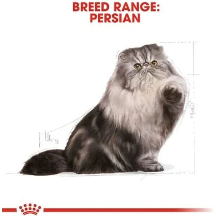 ROYAL CANIN Persian Adult 2 kg, Spezielles Katzenfutter für Perserkatzen mit Haarballen-Kontrolle und Haut- & Fell-Unterstützung – Bild 3