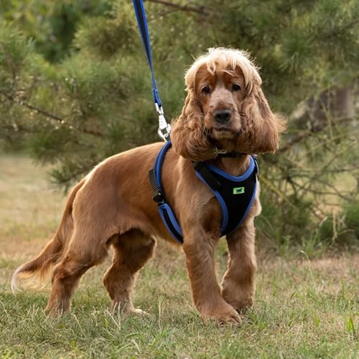 Ferplast ERGOCOMFORT Hundegeschirr, verstellbar, gepolstert, Schnellverschluss, Größe M, max. 30 kg, blau – Bild 2